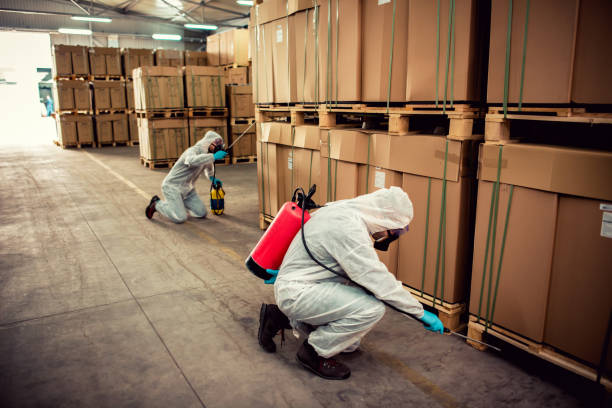 Best Affordable Pest Control Services  in Croom, MD