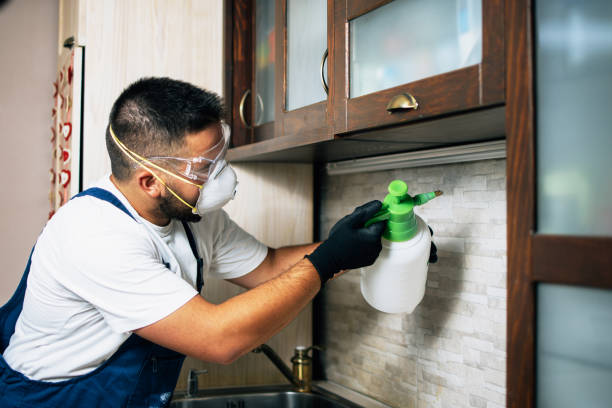 Best Residential Pest Control  in Croom, MD