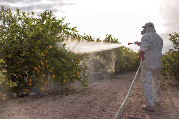 Wildlife Control Services in Croom, MD