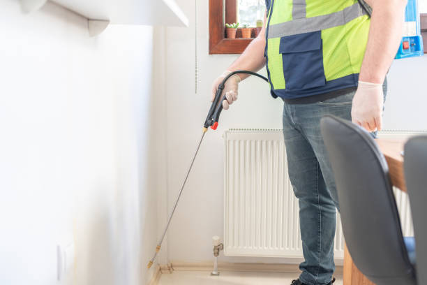 Best Rat Extermination Near Me  in Croom, MD